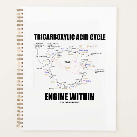 Moteur de cycle acide tricarboxylique dans le cycl (Devant)