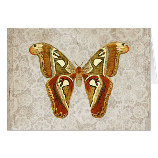   Moth Botanisch Wenskaart (Voorkant Horizontaal)