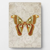 Moth Botanische Tafelblad Fotoplaat (voorkant)