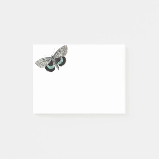 Moth illustratie post-it® notes (Voorkant)