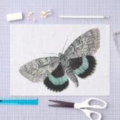 Moth  illustratie tissuepapier (Craft)