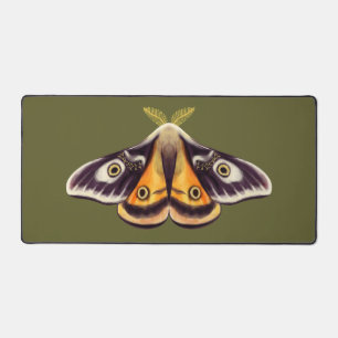 Moth Insect Art Goblincore Witchy Green Butterfly