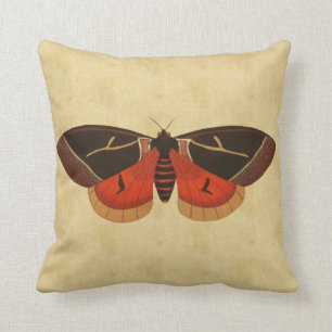 Moth Kussen