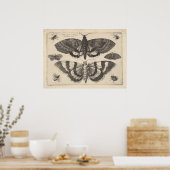  Moth Lepidoptera Art Print (64) (Keuken)