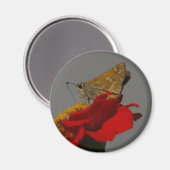 Moth Magneet (Voorkant / Achterkant)