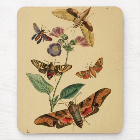  Moth Mousepad Muismat (Voorkant)