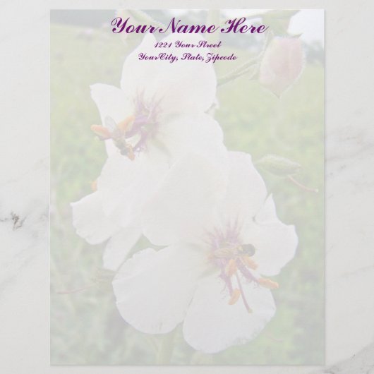 Moth Mullein Wildflower Letterhead Persoonlijk Briefhoofd (Voorkant)