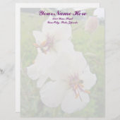 Moth Mullein Wildflower Letterhead Persoonlijk Briefhoofd (Voorkant / Achterkant)