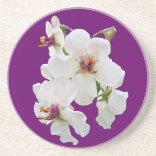 Moth Mullein Wildflower Onderzetter