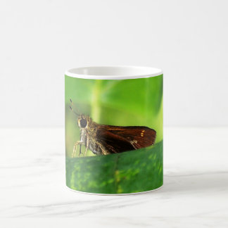 Moth on Leaf 2 Koffiemok