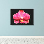 Moth Orchid Canvas Afdrukken (Insitu (Houten vloer))