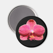 Moth Orchid Magnet Magneet (Voorkant / Achterkant)