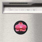Moth Orchid Magnet Magneet (Insitu (Vaatwasser))