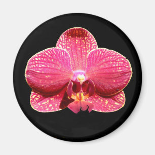 Moth Orchid Magnet Magneet