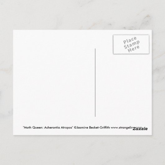 "Moth Queen : Carte postale Acherontia Atropos" (Dos)