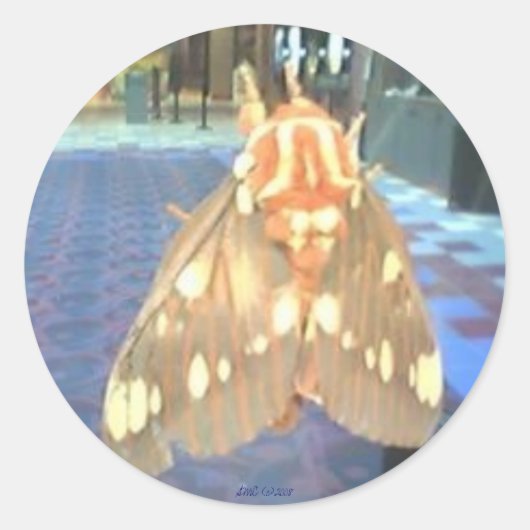 Moth Ronde Sticker (Voorkant)