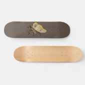 Moth Skateboard (Horizontaal)