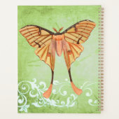 Moth soie africaine (Dos)
