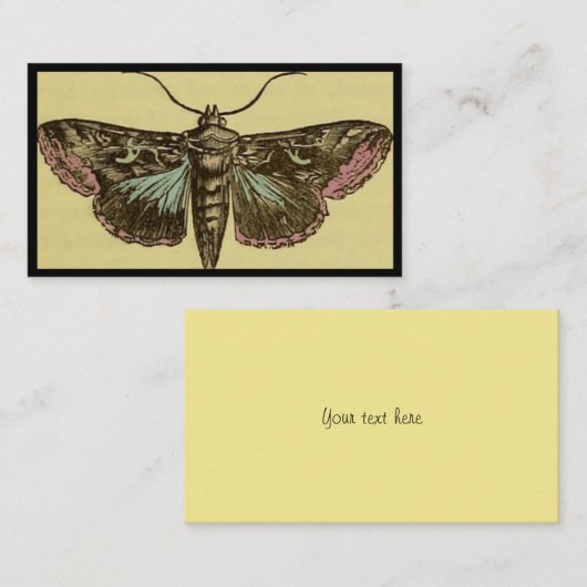  Moth  Visitekaartje (Voorkant / Achterkant)