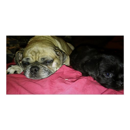 Mother and Son Perfect Poster (Voorkant)