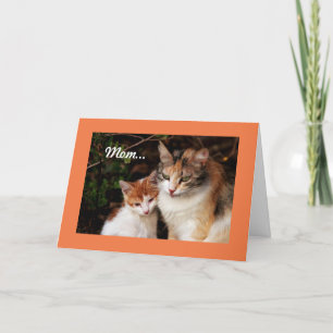 Mother Cat And Kitten Kaart
