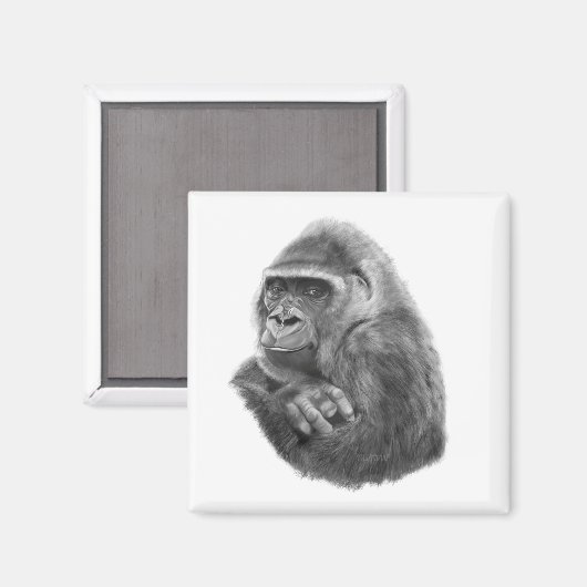 Mother gorilla Magnet 母ゴリラのマグネッド Magneet (Voorkant / Achterkant)