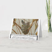 Mother Hummingbird Kaart (Achterkant)