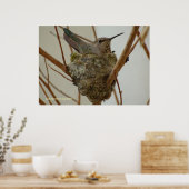 Mother Hummingbird Poster (Keuken)