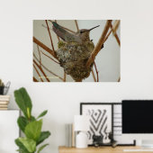 Mother Hummingbird Poster (Thuiskantoor)