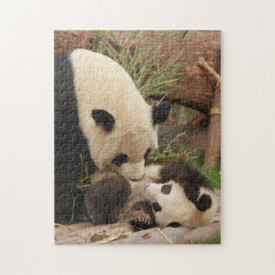 Motherand Baby Animal Panda Beer FotografieDierlij Legpuzzel