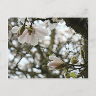 MOTHER's DAY Blossom 20 Gifts Cards Mam Mothers Briefkaart