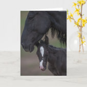 Mother's Love - Galloping to Freedom Wenskaart Kaart (Gele Bloem)