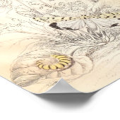 Moths en Butterflies Poster (Hoek)