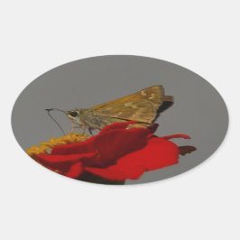 Moths en Red Zinnia Ovale Sticker