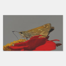 Moths en Red Zinnia Rechthoekige Sticker