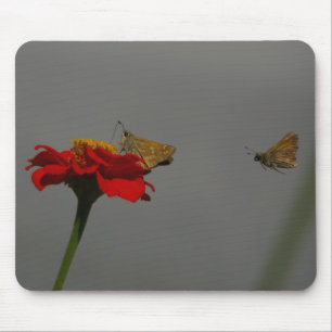 Moths Muismat