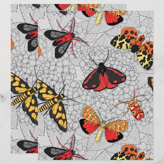 Moths on hydrangea (Voorkant / Achterkant)