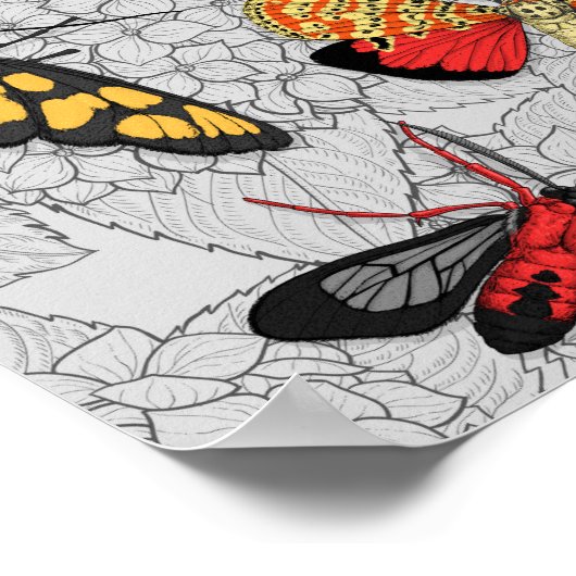 Moths on hydrangea poster (Hoek)
