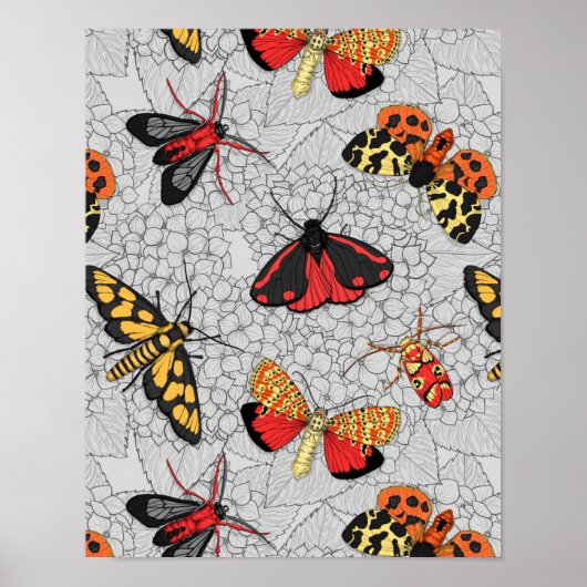 Moths on hydrangea poster (Voorkant)