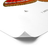 Moths Poster (Hoek)