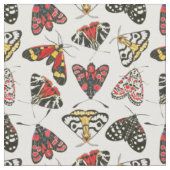 Moths Stof (Close Up)