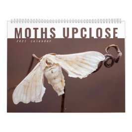MOTHS UPCLOSE 2021 CALENDAR KALENDER
