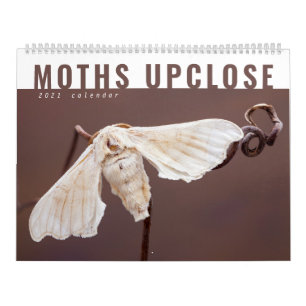MOTHS UPCLOSE 2021 CALENDAR KALENDER
