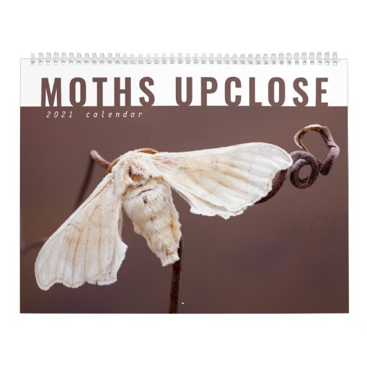 MOTHS UPCLOSE 2021 CALENDAR KALENDER (Hoes)