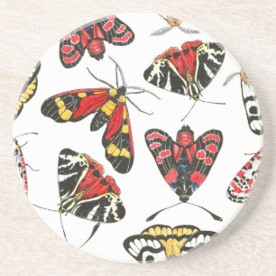 Moths Zandsteen Onderzetter