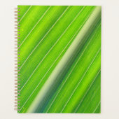 Motif à rayures vert (Devant)