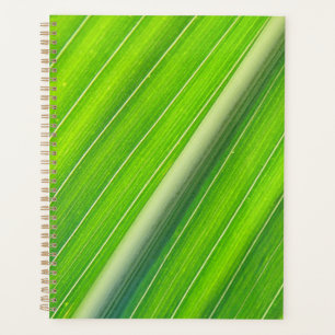 Motif à rayures vert