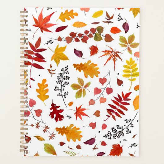 Motif automne (Devant)