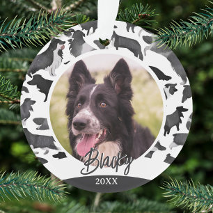Motif Border Collie Nom de Chien Photo Noël