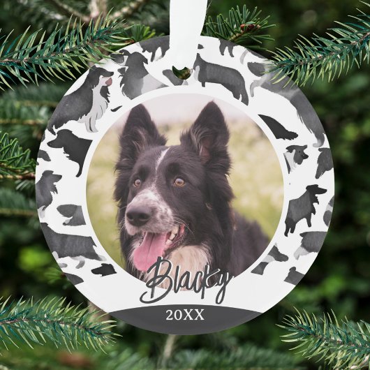 Motif Border Collie Nom de Chien Photo Noël